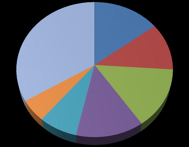 Struktura Akcjonariatu, stan na dzień 15.04.2014 33,66% 14,73% Marek Dziubiński (Prezes Zarządu) 11,33% BIB Seed Capital S.A. New Europe Ventures LLC ING Otwarty Fundusz Emerytalny 14,34% Nordea Powszechne Towarzystwo Emerytalne S.