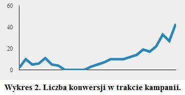 Kampania AdWords była najbardziej efektywną formą marketingu jaką dotąd stosowało SOLVE Elektronika.