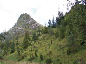 Natura 2000 w Karpatach MAŁE PIENINY Rezerwat Biała Woda J. Perzanowska Widok spod grzbietu między Smrekową w Wysoką I.