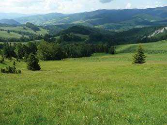 Czerwiński Małe Pieniny zostały zaproponowane do ochrony w sieci Natura 2000 przez Instytut Ochrony Przyrody PAN w porozumieniu z