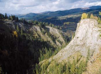 Oficjalnie obszar został zgłoszony do sieci Natura 2000 w roku 2007 w celu uzupełnienia reprezentacji siedlisk naskalnych i muraw, głównie