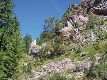 Natura 2000 w Karpatach MAŁE PIENINY Zbiorowiska naskalne główny przedmiot ochrony J. Perzanowska Zarośla jałowca na murawach J.