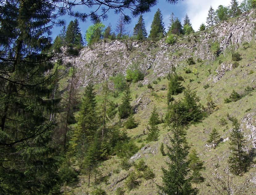 Natura 2000 w Karpatach MAŁE PIENINY 14 Murawy