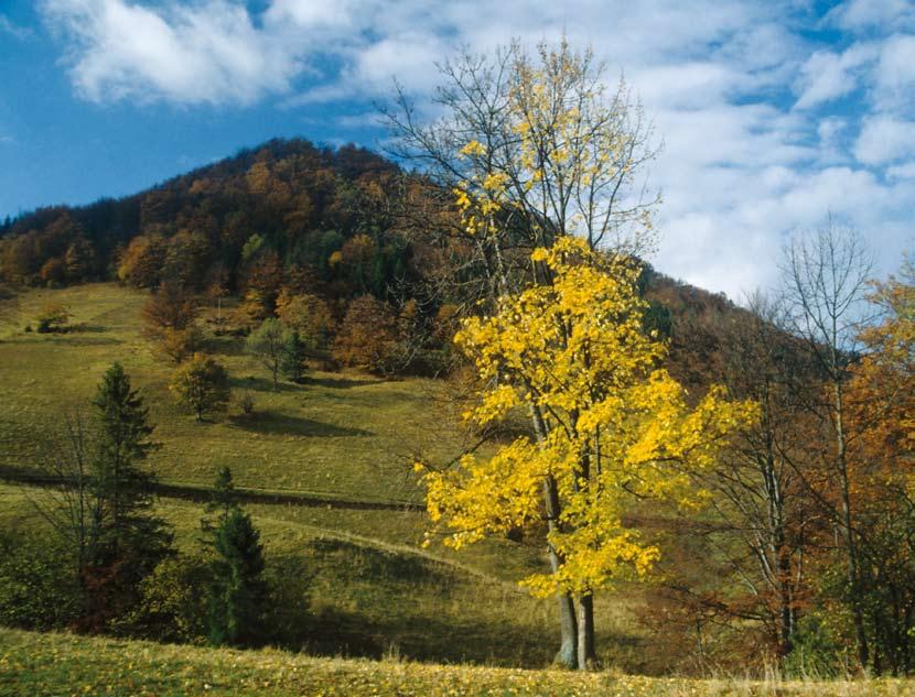 Natura 2000 w Karpatach MAŁE PIENINY Małe