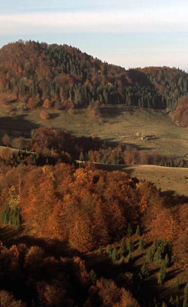 Obszar Natura 2000: Małe Pieniny PLH120025 Małe Pieniny to niewielkie, niezwykle malownicze pasmo górskie wciśnięte pomiędzy Beskid Sądecki, Pieniny i Magurę Spiską.