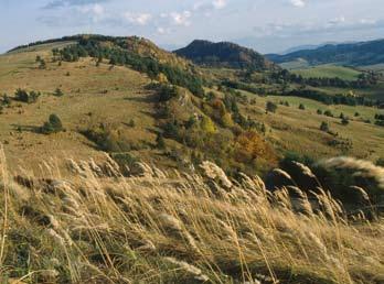 Natura 2000 w Karpatach MAŁE PIENINY Z historii Małych Pienin Protoplaści Rusinów Szlachtowskich przybyli do doliny Grajcarka najprawdopodobniej pod koniec XV wieku podczas wędrówek ludności