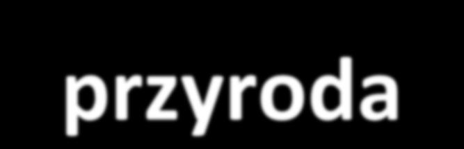 ZMIANY PROGRAMOWE W KSZTAŁCENIU