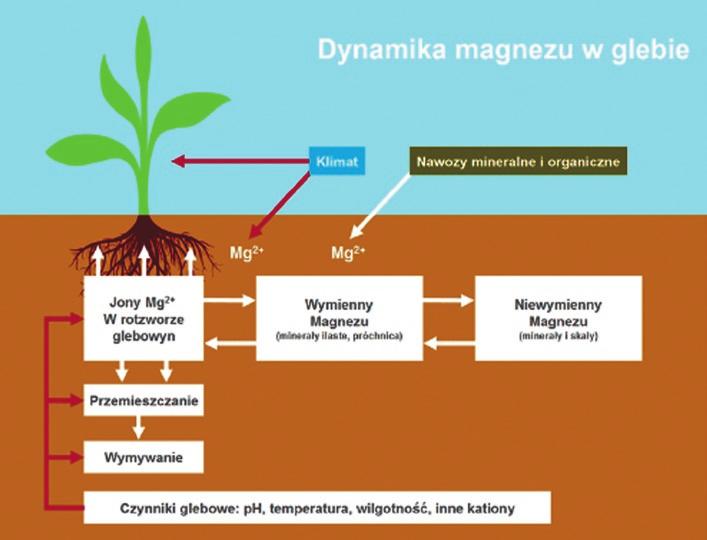 Ilość składników pokarmowych poszczególnych poziomów zmienia się w zależności od rodzaju gleby (gleby lekkie, średnio ciężkie i ciężkie).