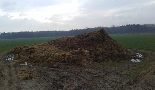 Funkcje próchnicy w glebie: kontroluje szybkość procesów wietrzenia skały macierzystej w glebie; wiązanie węgla; retencja wody w glebie; uwalnianie i retencja składników mineralnych w glebie;