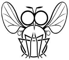 Biuletyn Sekcji Dipterologicznej Polskiego Towarzystwa Entomologicznego DIPTERON Bulletin of the Dipterological Section of the Polish Entomological Society ISSN 1895 4464 Tom 33: 14-25 Akceptacja: 11.