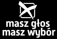 FORMULARZ PODSUMOWUJĄCY DZIAŁANIE w ramach akcji Masz Głos, Masz Wybór 2015/2016 Lepsze instytucje Prosimy o wypełnienie i umieszczenie na stronie www.maszglos.