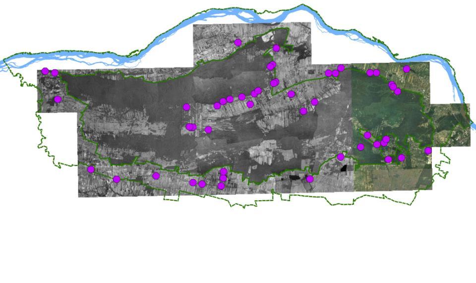 (siatka 1 x 1 km)   N = 51 6