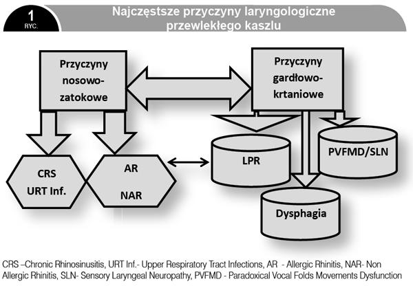 równoczasowe poszukiwanie przyczyn kaszlu zarówno w górnym jak i w dolnym odcinku układu oddechowego.