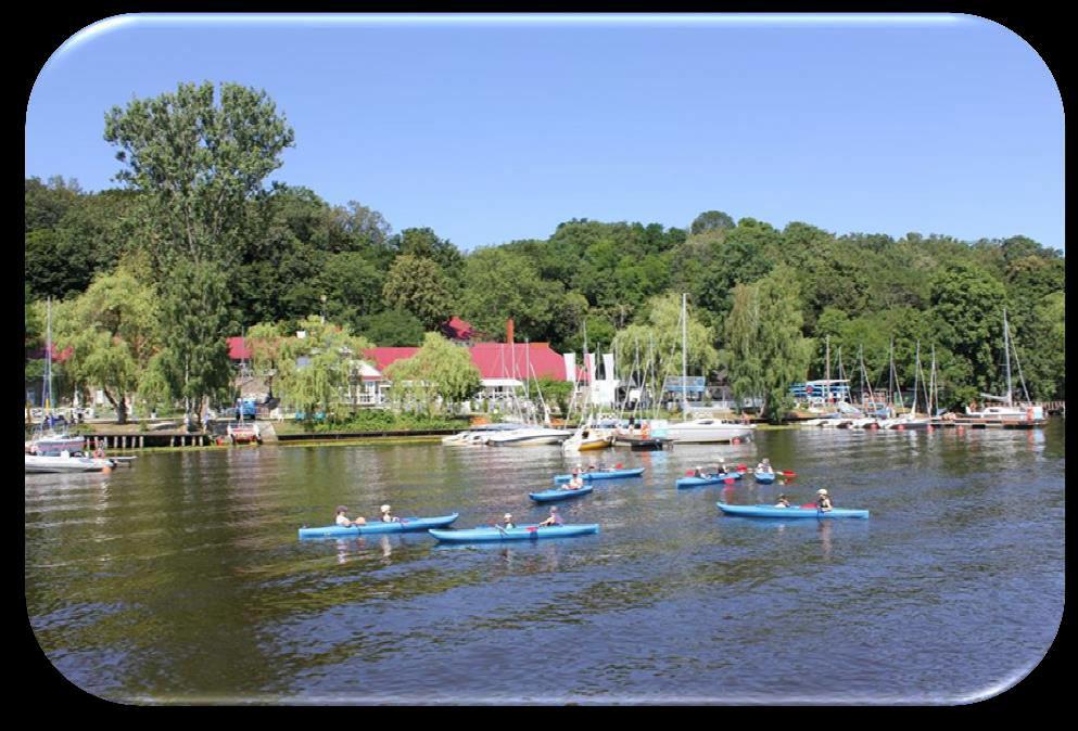 rzeka Narew i