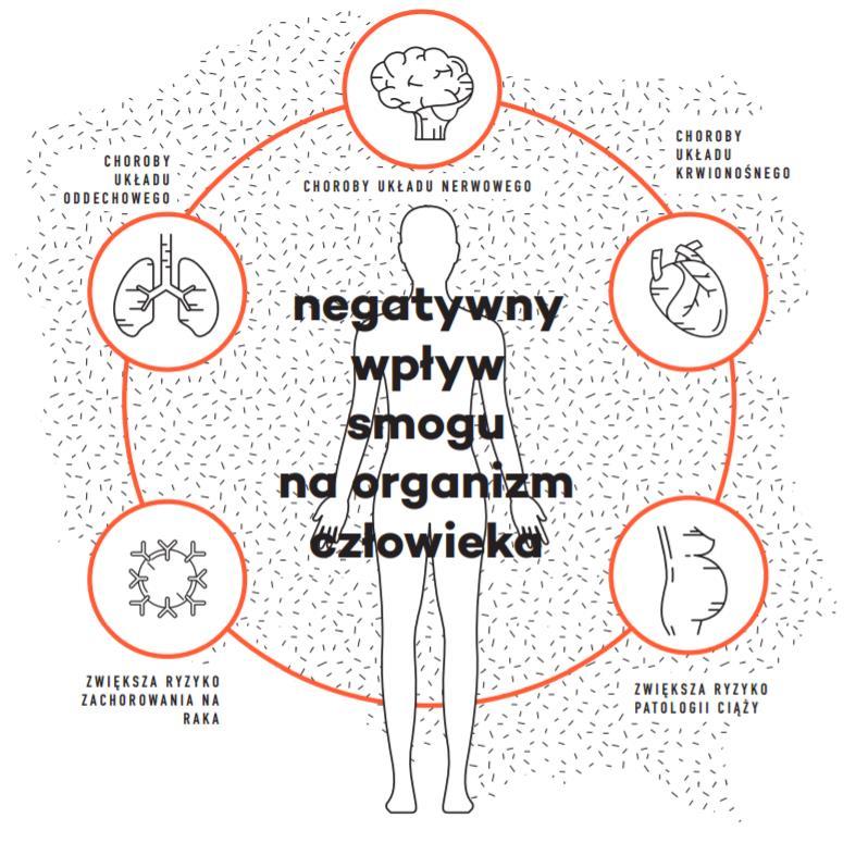 SKUTKI ZDROWOTNE ZANIECZYSZCZEŃ POWIETRZA 4 Wśród substancji, występujących w powietrzu, którym oddychamy, najgroźniejsze są pyły zawieszone o średnicy do 2,5 mikrometra (PM2,5) oraz średnicy do 10