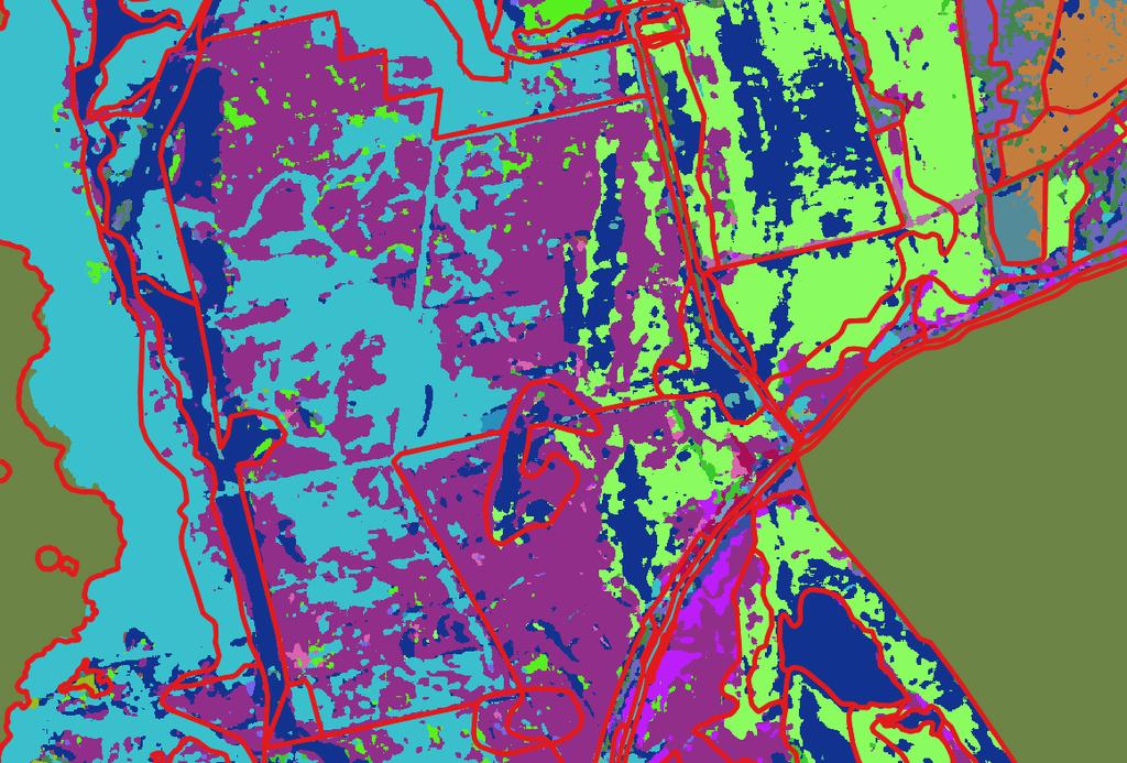 Walor: Mapa roślinności rzeczywistej Granice płatów zbiorowisk pozostających w