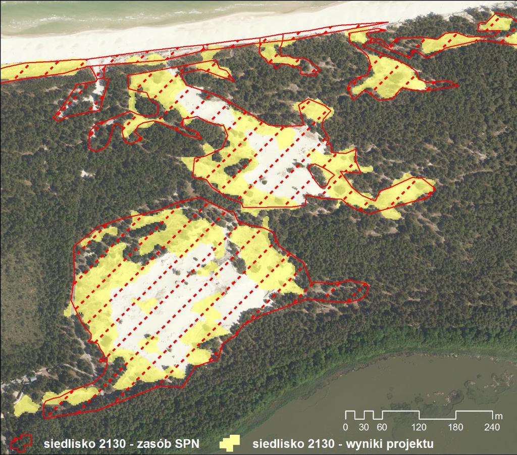 Walor: Mapa siedlisk przyrodniczych Natura 2000 LP