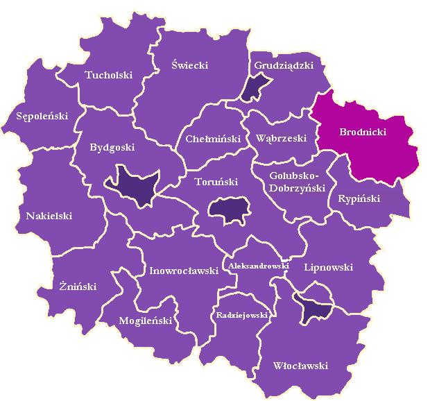 Powierzchnia ORSG wynosi 1 040 km 2. Najmniejszą powierzchnię spośród wszystkich gmin tworzących Powiat ma gmina miejska Brodnica (23 km 2 ), a największą gmina Bobrowo (145 km 2 ).