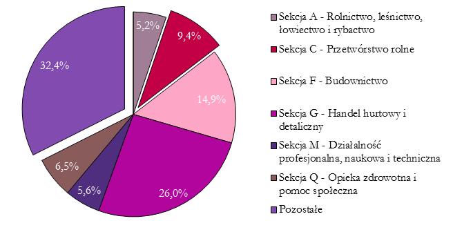 Wykres 7. Podmioty gospodarki narodowej na terenie ORSG Powiatu Brodnickiego według sekcji PKD w 2013 r. Źródło: Opracowanie własne na podstawie danych GUS.