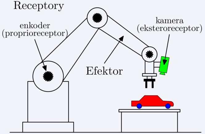 Anatomia robota