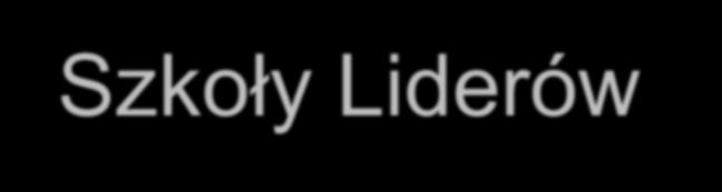 Szkoły Liderów Edukacji Globalnej otrzymają ponadto jedną z publikacji Poradnik dla nauczycieli II, III