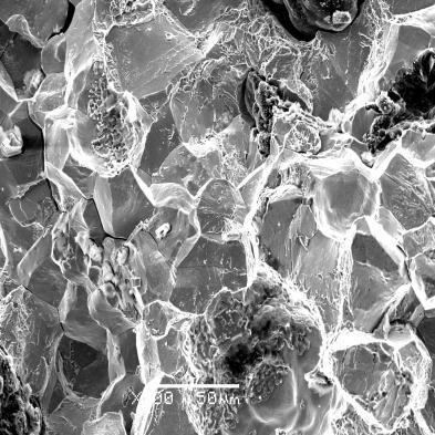 1000x. Microfractography fracture of ductile cast iron: f) without heat treatment, g) normalizing; h) toughening, i) ferritizing annealing, j) austempering; 500x.