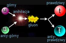 Bardzo ładny przykład anihilacji ale przez oddziaływania silne (wymiana gluonu) Rys.