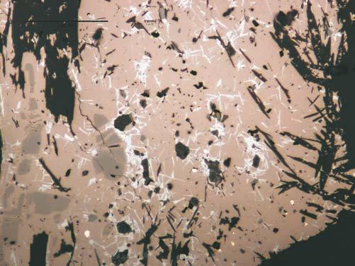 Fe-Cr spinel, Mag magnetite, Srp serpentine group minerals Fig. 10.