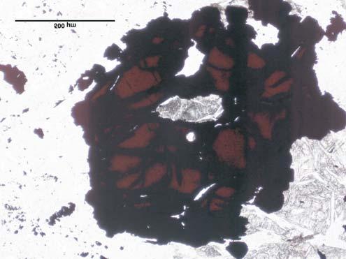 104 Katarzyna Sad³owska Fig. 4.