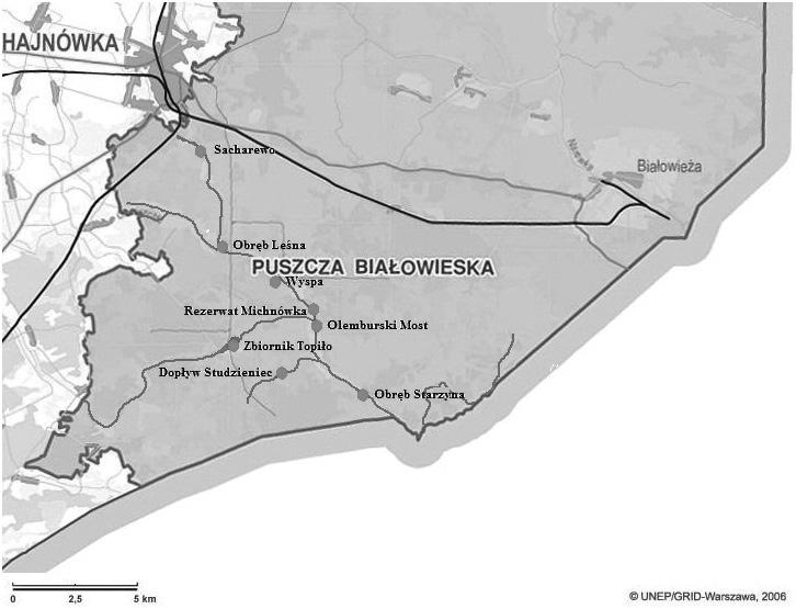 Halina Chomutowska, Krzysztof Wilamowski Tabela 1. Współrzędne geograficzne stanowisk badawczych Table 1. Geographic coordinates research positions Numer i nazwa stanowiska Współrzędne geograficzne 1.