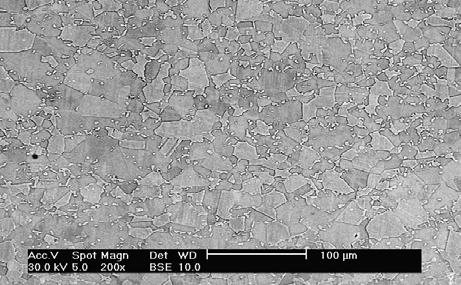 (nieuporządkowanego roztworu stałego aluminium w sieci niklu, o strukturze A1). 3.1. Analiza zmian wielkości ziarna osnowy widoczne w temperaturze 1100 C (rys. 4).