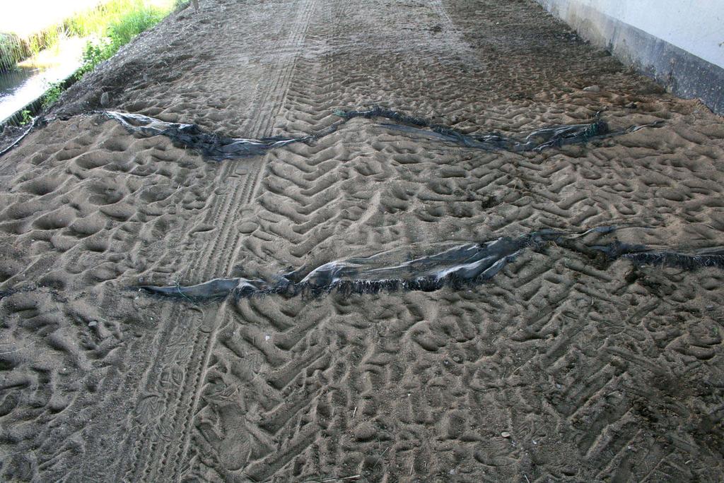 betonowymi, dodatkowo zastosowano palisadę drewnianą powyższe rozwiązania istotnie