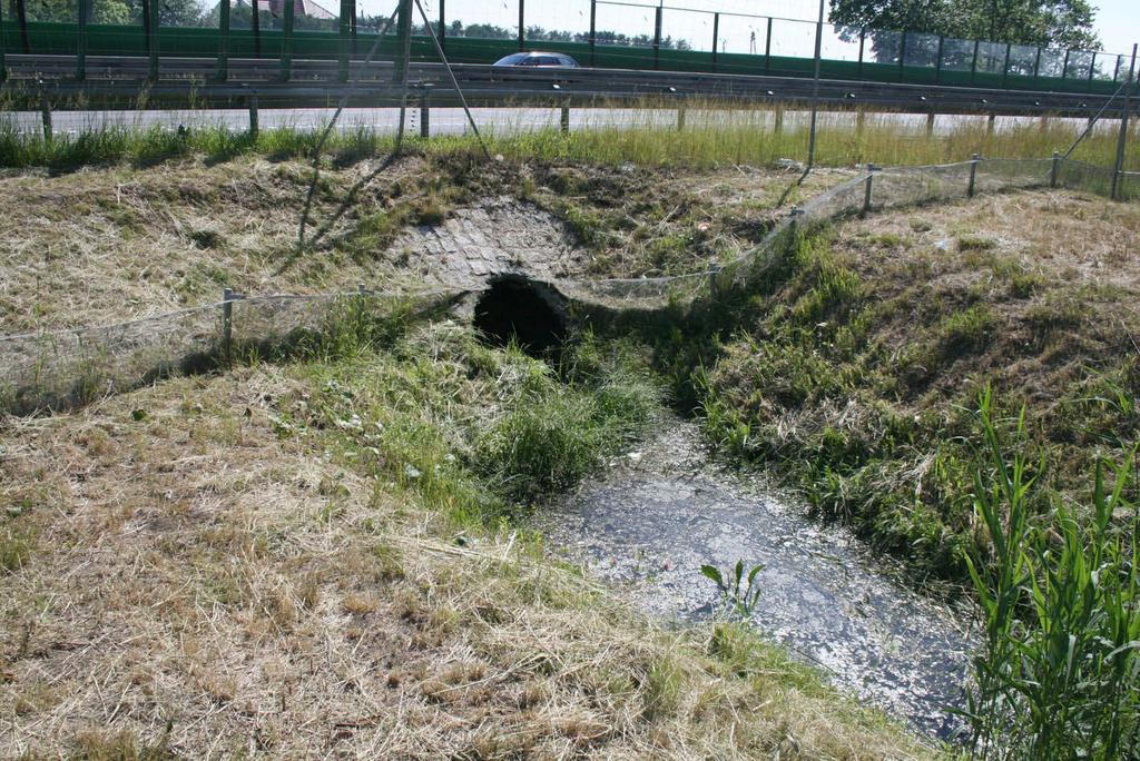 solidnie i posiadają stabilną konstrukcję Fot. 20.