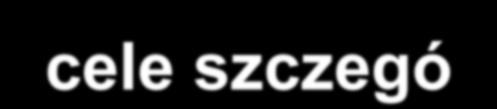 PROJEKT: Polepszenie jakości powietrza w regionie przygranicznym Czechy-Polska - cele szczegółowe - 1.