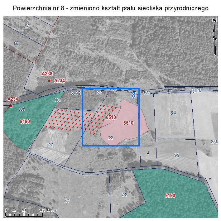 POWIERZCHNIA NR 8 ZMIANA KSZTAŁTU PŁATU SIEDLISKA PRZYRODNICZEGO Powierzchnia w Żelaznym Moście wskazywana w Aktualizacji inwentaryzacji przyrodniczej gminy Polkowice jako siedlisko przyrodnicze: