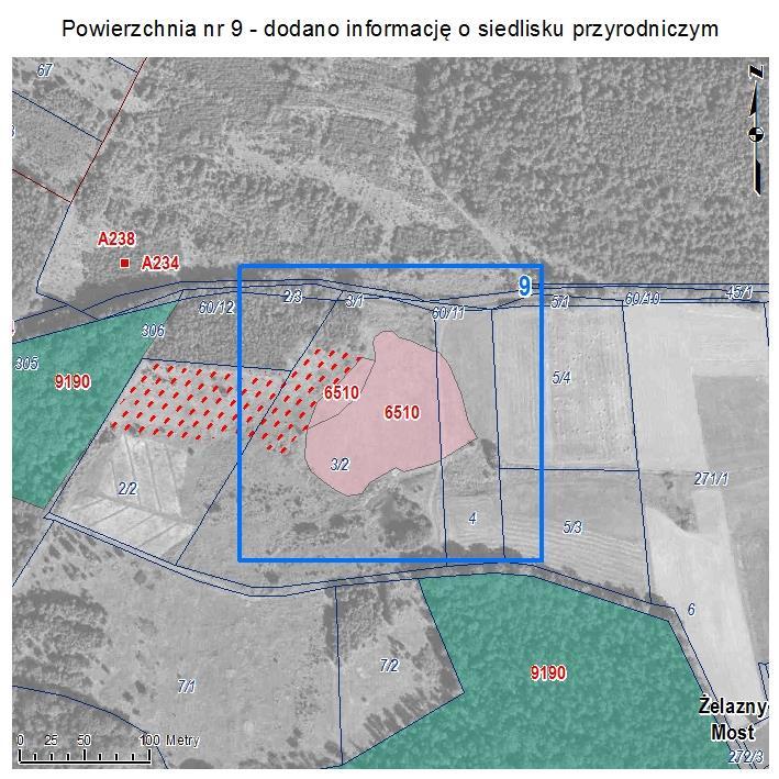 POWIERZCHNIA NR 9 DODANO INFORMACJĘ O SIEDLISKU PRZYRODNICZYM Powierzchnia łąkowa w Żelaznym Moście o charakterze siedliska przyrodniczego: niżowe i górskie