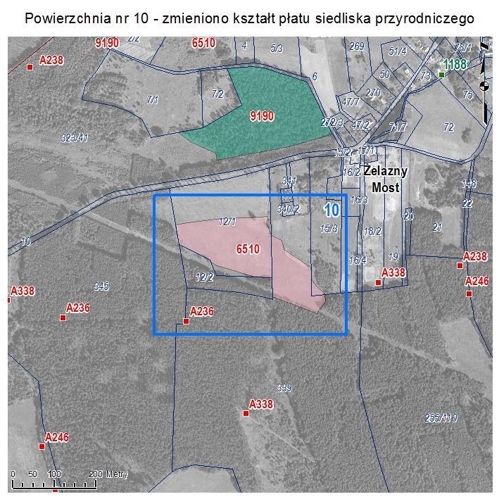 POWIERZCHNIA NR 10 ZMIANA KSZTAŁTU PŁATU SIEDLISKA PRZYRODNICZEGO Powierzchnia łąkowa w Żelaznym Moście o charakterze siedliska przyrodniczego: niżowe i górskie łąki użytkowane ekstensywnie