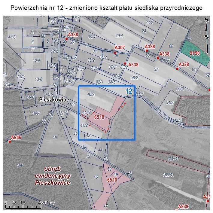 POWIERZCHNIA NR 12 ZMIANA KSZTAŁTU PŁATU SIEDLISKA PRZYRODNICZEGO Powierzchnia łąkowa w Pieszkowicach o charakterze siedliska przyrodniczego: niżowe i górskie łąki użytkowane ekstensywnie