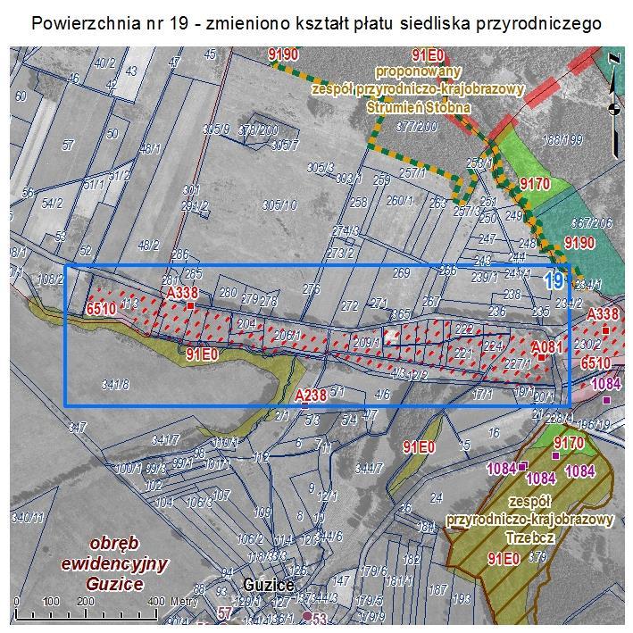 POWIERZCHNIA NR 19 ZMIANA KSZTAŁTU PŁATU SIEDLISKA PRZYRODNICZEGO Powierzchnia w Moskorzynie wskazywana w Aktualizacji inwentaryzacji przyrodniczej gminy Polkowice jako rozległy płat siedliska