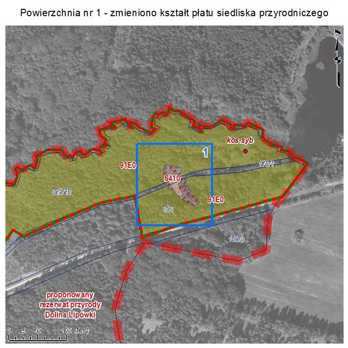 POWIERZCHNIA NR 1 ZMIANA KSZTAŁTU PŁATU SIEDLISKA PRZYRODNICZEGO Powierzchnia w Żelaznym Moście o charakterze niewielkiej luki w drzewostanie łęgowym, intensywnie zarastająca krzewami, nieużytkowana