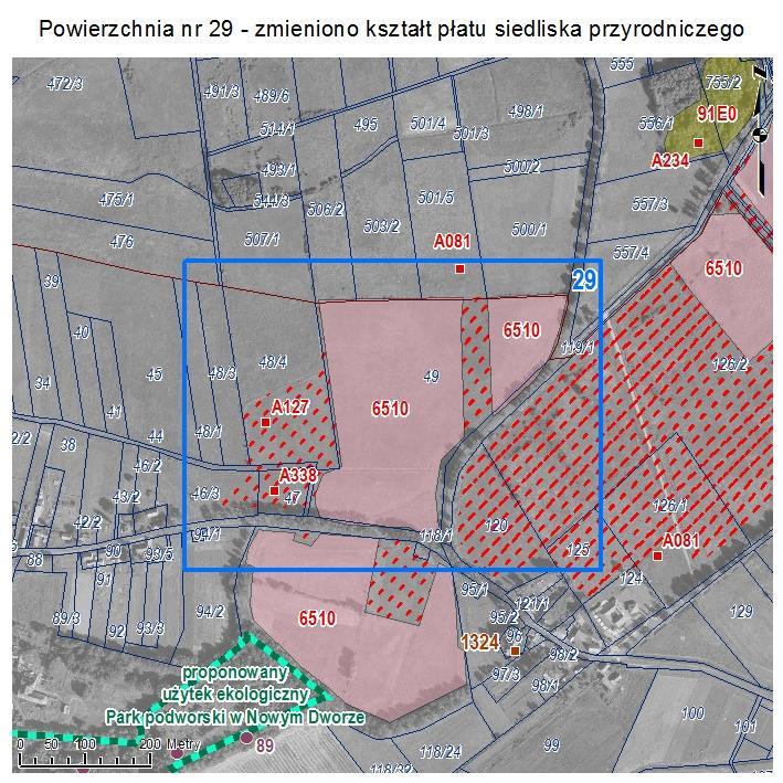 POWIERZCHNIA NR 29 ZMIANA KSZTAŁTU PŁATU SIEDLISKA PRZYRODNICZEGO Powierzchnia na północ od drogi Jędrzychów Nowiny - Jędrzychów Nowy Dwór wskazywana w Aktualizacji inwentaryzacji przyrodniczej gminy