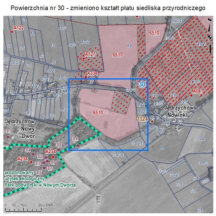 POWIERZCHNIA NR 30 ZMIANA KSZTAŁTU PŁATU SIEDLISKA PRZYRODNICZEGO Powierzchnia na południe od drogi Jędrzychów Nowiny - Jędrzychów Nowy Dwór wskazywana w Aktualizacji inwentaryzacji przyrodniczej