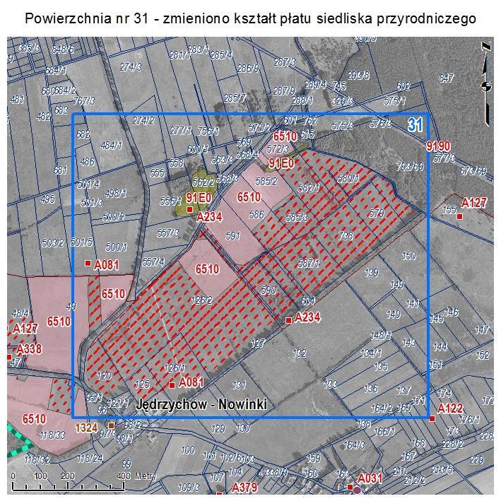 POWIERZCHNIA NR 31 ZMIANA KSZTAŁTU PŁATU SIEDLISKA PRZYRODNICZEGO Powierzchnia na północ od Jędrzychów Nowiny wskazywana w Aktualizacji inwentaryzacji przyrodniczej gminy Polkowice jako rozległy płat