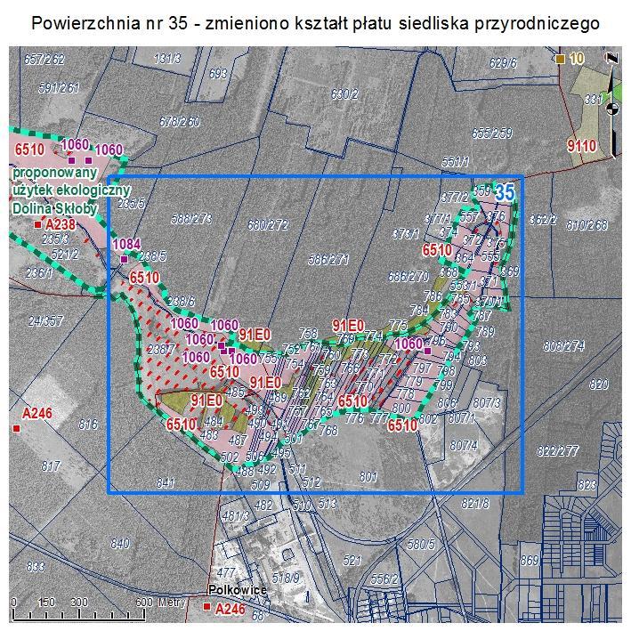 POWIERZCHNIA NR 35 ZMIANA KSZTAŁTU PŁATU SIEDLISKA PRZYRODNICZEGO Powierzchnia na północ od Polkowic Dolnych w śródleśnym kompleksie użytków zielonych w dolinie Skłoby wskazywana w Aktualizacji