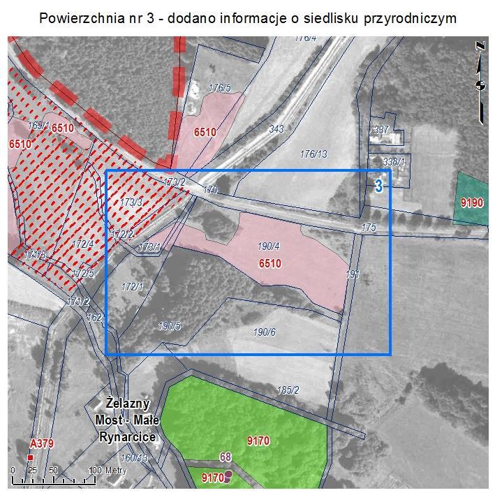 POWIERZCHNIA NR 3 DODANO INFORMACJĘ O SIEDLISKU PRZYRODNICZYM Powierzchnia łąkowa w Żelaznym Moście o charakterze siedliska przyrodniczego: niżowe i górskie