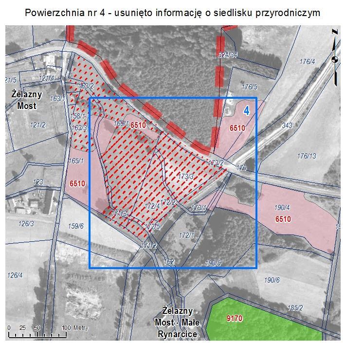 POWIERZCHNIA NR 4 USUNIĘTO INFORMACJĘ O SIEDLISKU PRZYRODNICZYM Powierzchnia w Żelaznym Moście wskazywana w Aktualizacji inwentaryzacji przyrodniczej gminy Polkowice jako siedlisko przyrodnicze: