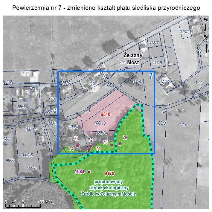 POWIERZCHNIA NR 7 ZMIANA KSZTAŁTU PŁATU SIEDLISKA PRZYRODNICZEGO Powierzchnia łąkowa w Żelaznym Moście o charakterze siedliska przyrodniczego: niżowe i górskie łąki użytkowane ekstensywnie