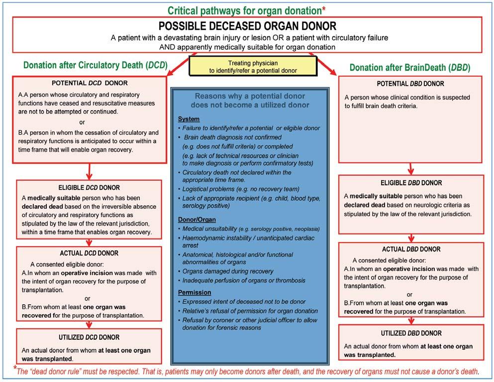 Uwagi o organizacji pobrañ wielonarz¹dowych Uwagi te zosta³y przedstawione podczas XXVIII Konferencji Koordynatorów Poltransplantu, która odby³a siê w Warszawie w dniach 7-8 listopada 2013 r.