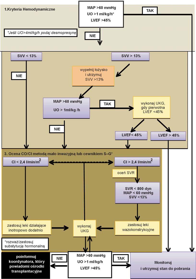 Proponowany algorytm optymalizacji hemodynamicznej zmar³ego dawcy narz¹dów zosta³ przedstawiony na rycinie 1.