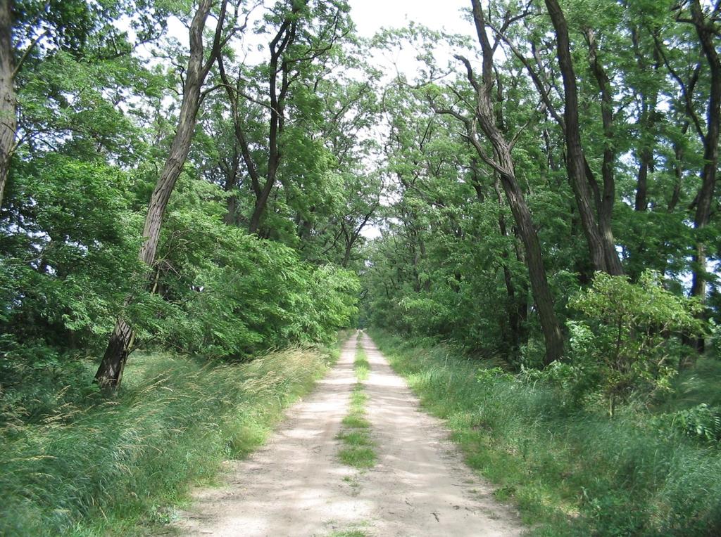 Tab. 1. Efektywność barier biogeochemicznych w stosunku do biogenów migrujących z wodą gruntową.